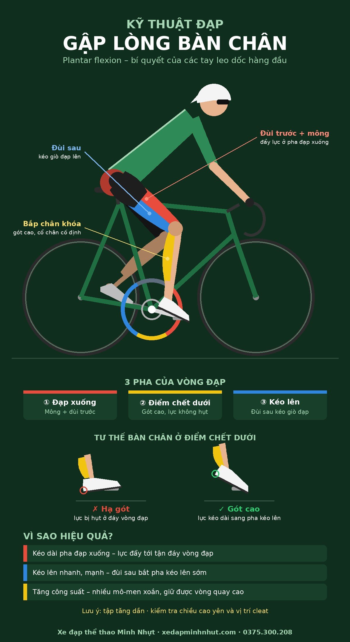 Infographic kỹ thuật đạp gập lòng bàn chân